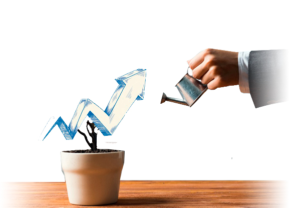 Al‐Ameen Shariah Stock Fund
